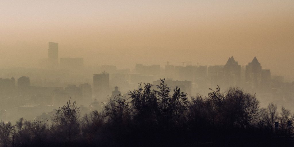 urban landscape in mist and trees silhouettes